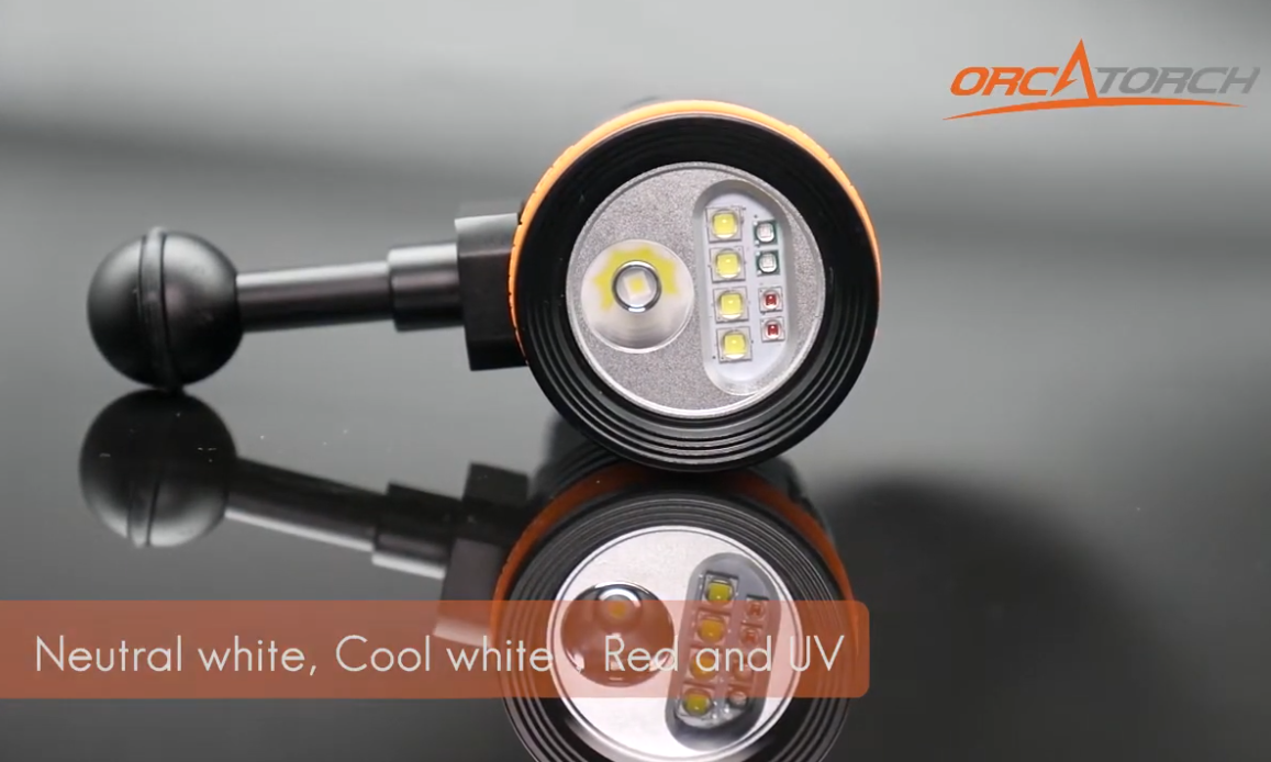 Amazon.com: ORCATORCH D900V Underwater Video Dive Light - 2200
